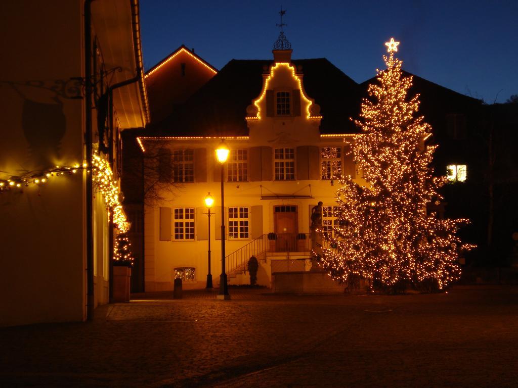 Hotel Gasthof Zum Ochsen Arlesheim Kültér fotó